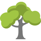 Roswell Tree Removal