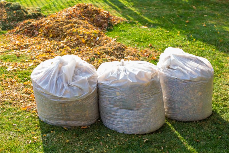 Clean Yard