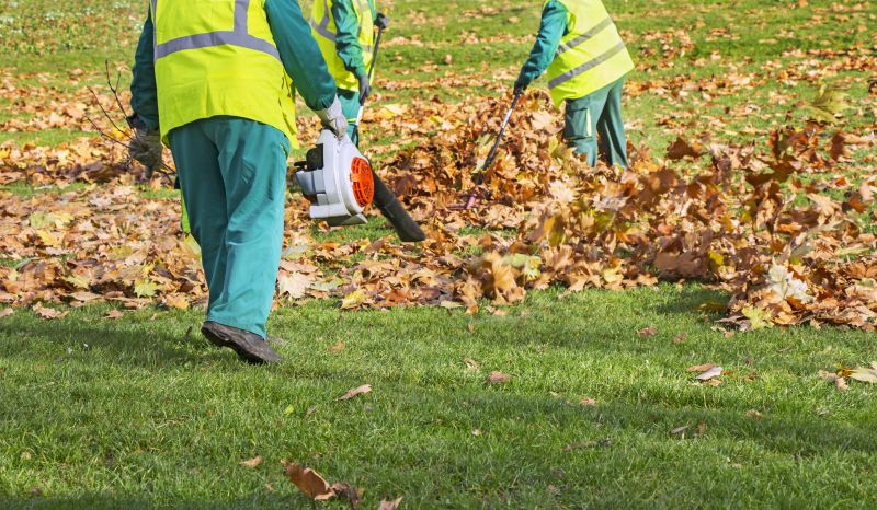 Leaf Disposal