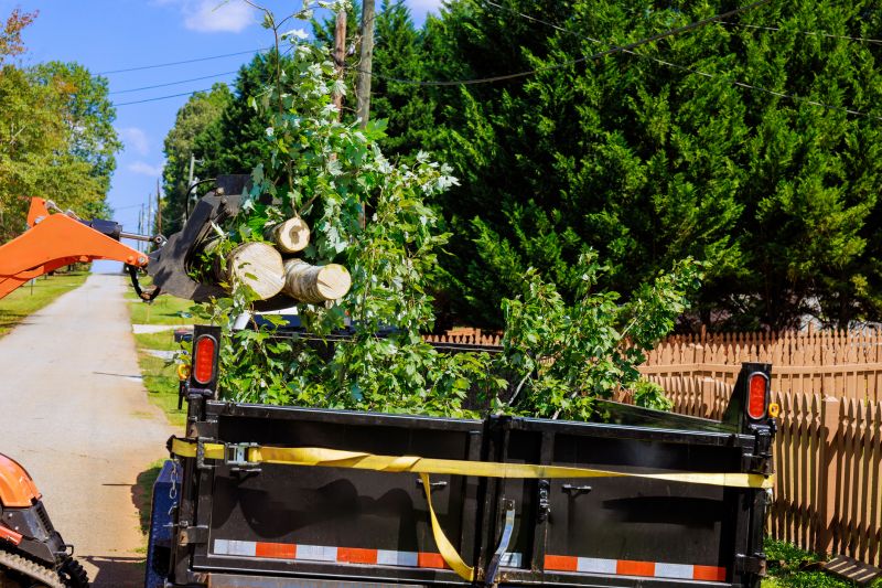 Emergency Tree Removal detail