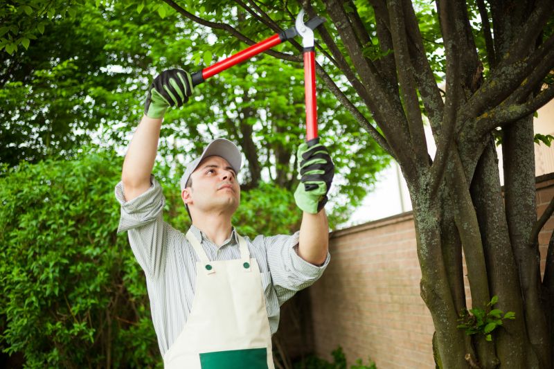 Spring Tree Pruning