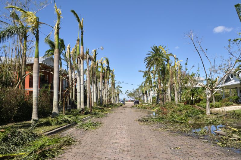 Storm Damage Cleanup