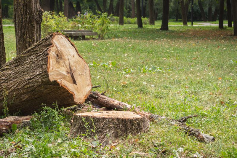 Tree Care Companies